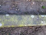 image of grave number 371601